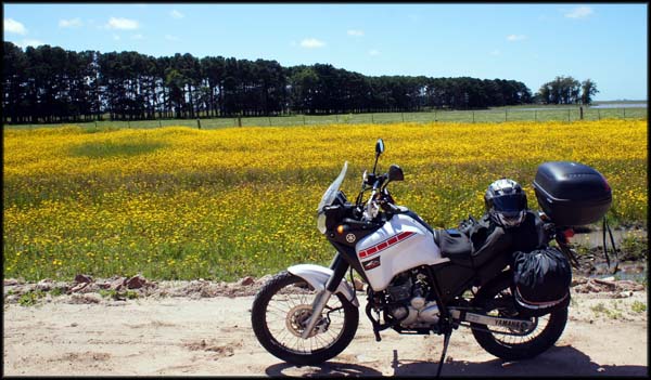 Belas paisagens, a caminho da Reserva do Taim