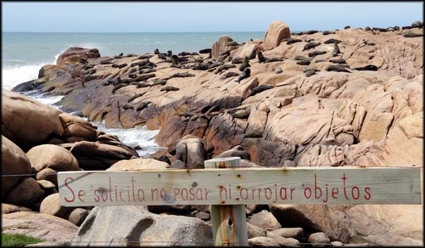 Vista de longe, a pedra onde os leões marinhos passavam o tempo