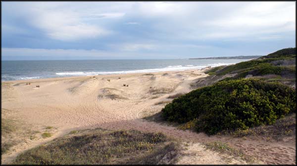 Praia dentro da área do Parque, pessoal fazendo surf na região.