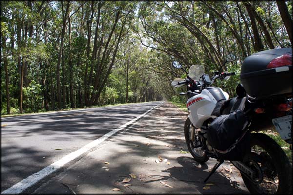 Túnel Verde, em Capivari do Sul