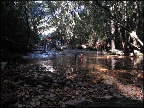 vale_borboletas-2